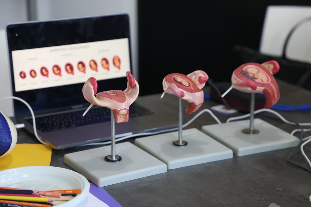 Sexual Education Program